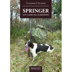 Springer, un cane da schioppo